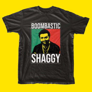 Shaggy Reggae Musician