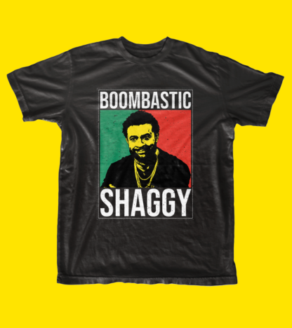 Shaggy Reggae Musician