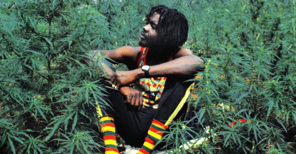 peter tosh weed